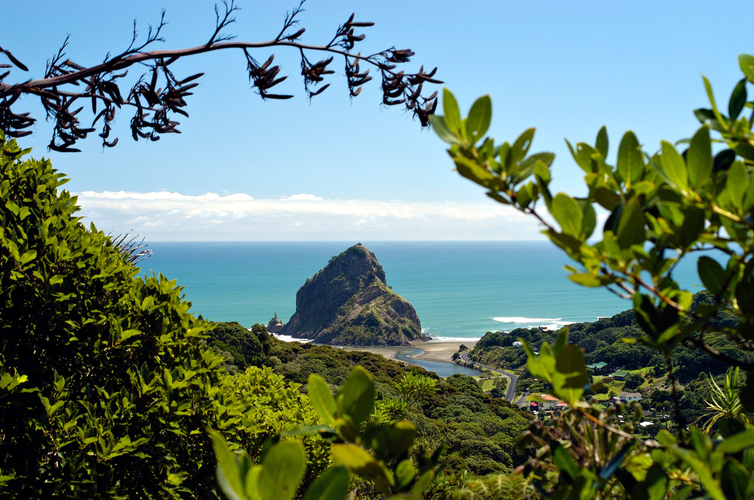 229763-piha-beach-auckland Credit Scott Venning